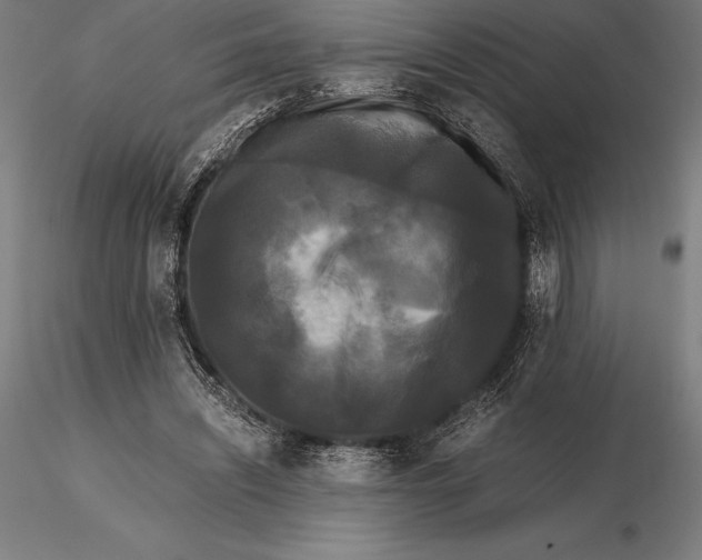 X0000115720444200912031554