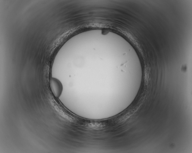 X0000115720445200912031554