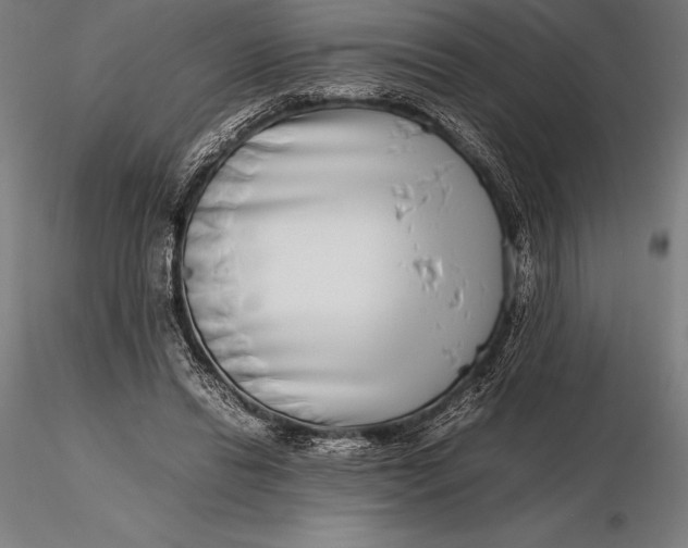 X0000115720446200912031554