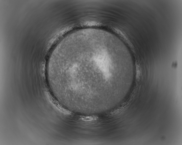 X0000115720447200912031554