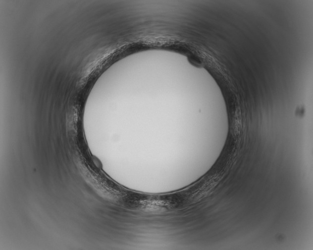 X0000115720448200912031554