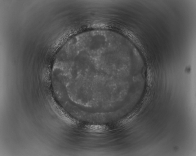 X0000115720449200912031554