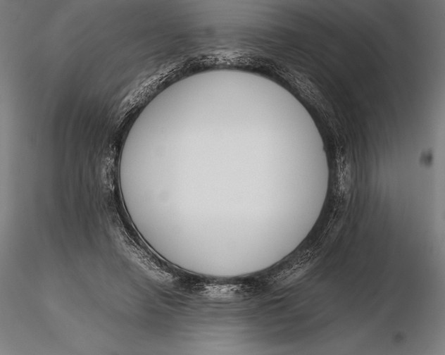 X0000115720450200912031554