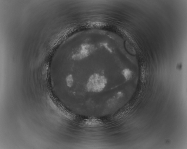 X0000115720451200912031554
