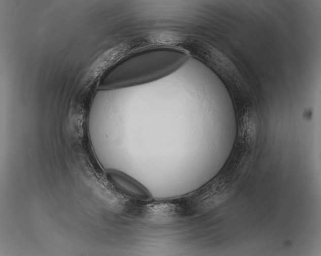 X0000115720452200912031554