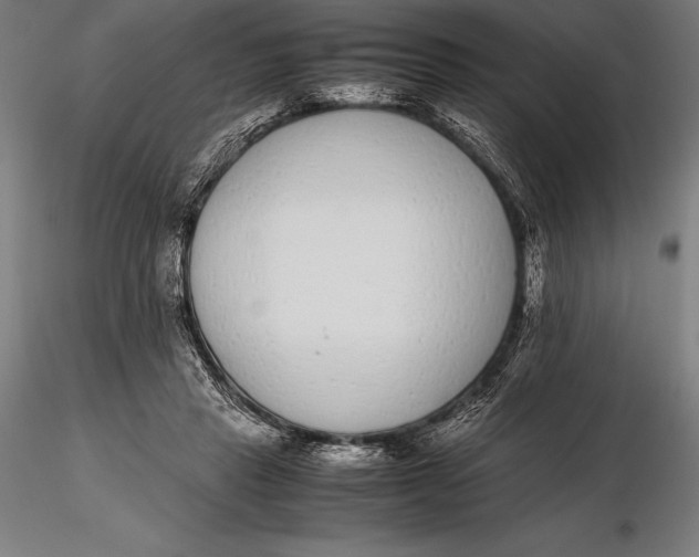 X0000115720453200912031554
