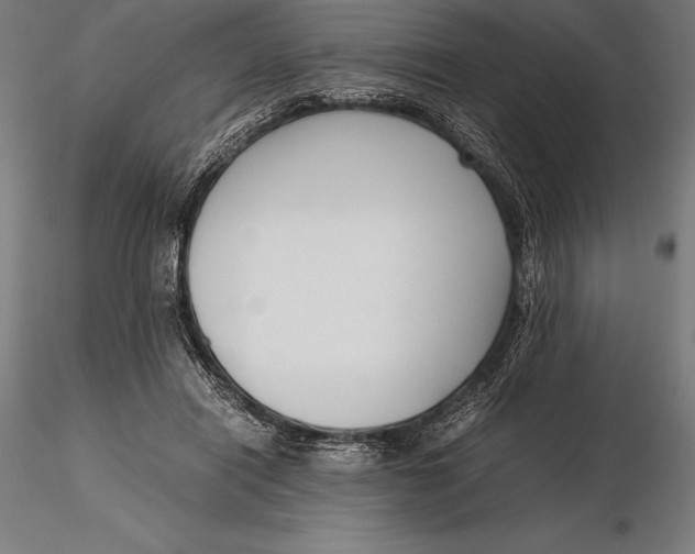 X0000115720454200912031554
