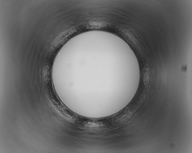 X0000115720455200912031554