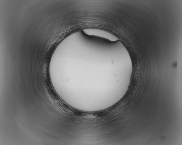 X0000115720456200912031554