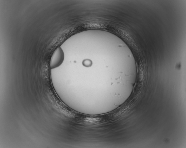X0000115720457200912031554