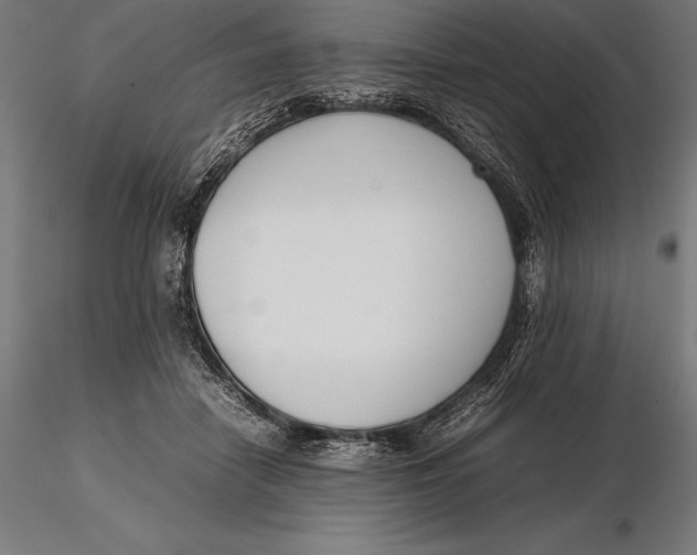 X0000115720458200912031554