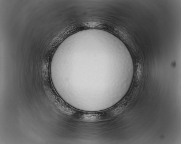 X0000115720461200912031554