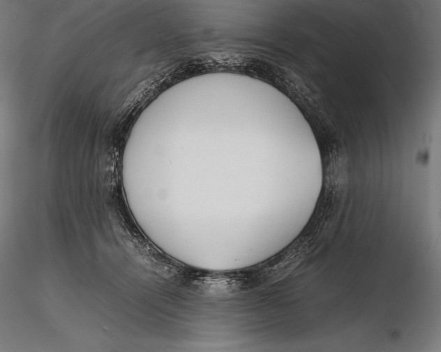 X0000115720464200912031554