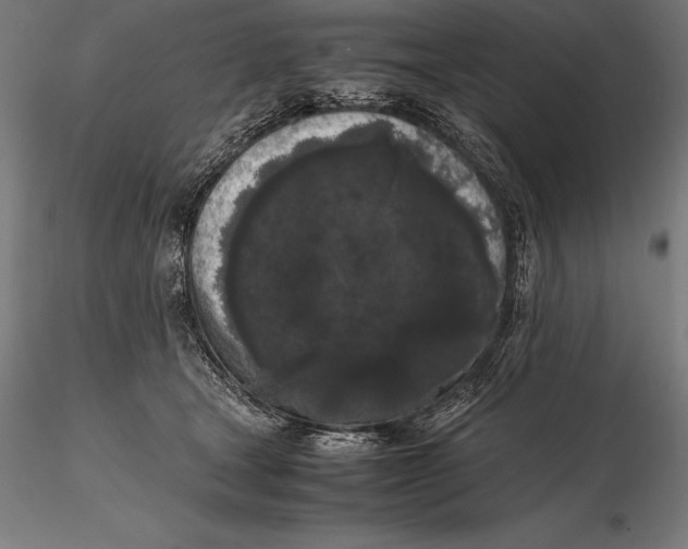 X0000115720465200912031554