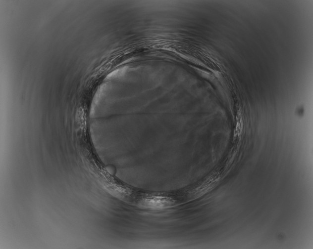 X0000115720467200912031554