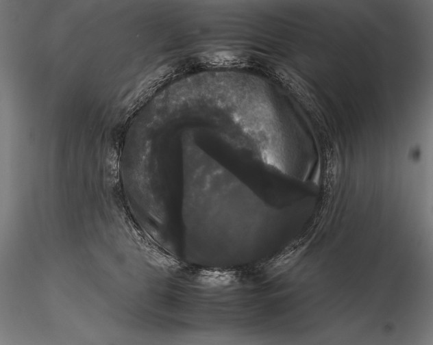 X0000115720469200912031554