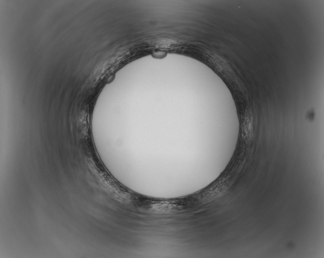 X0000115720470200912031554