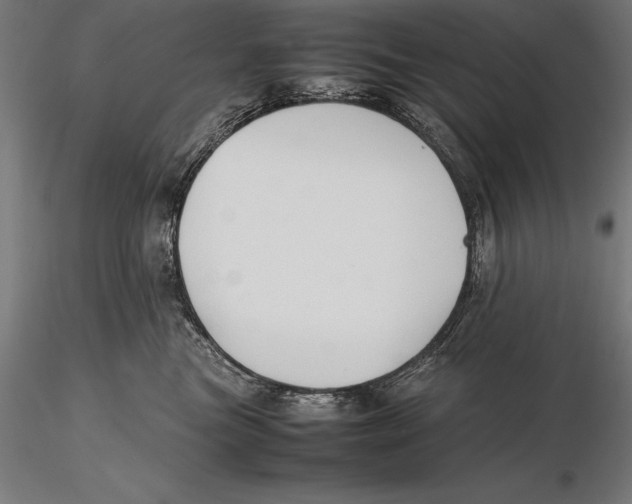 X0000115720473200912031555