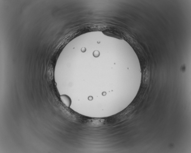 X0000115720474200912031555