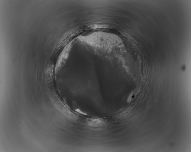 X0000115720475200912031555