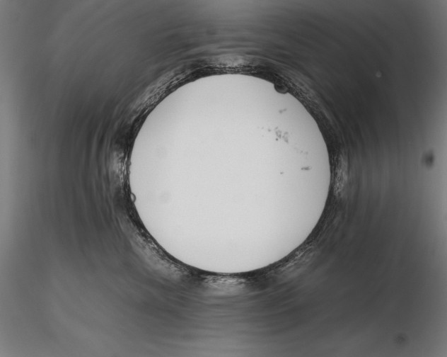 X0000115720476200912031555