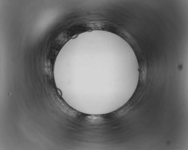 X0000115720477200912031555
