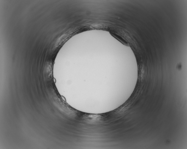 X0000115720478200912031555