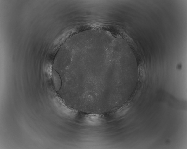 X0000115720479200912031555