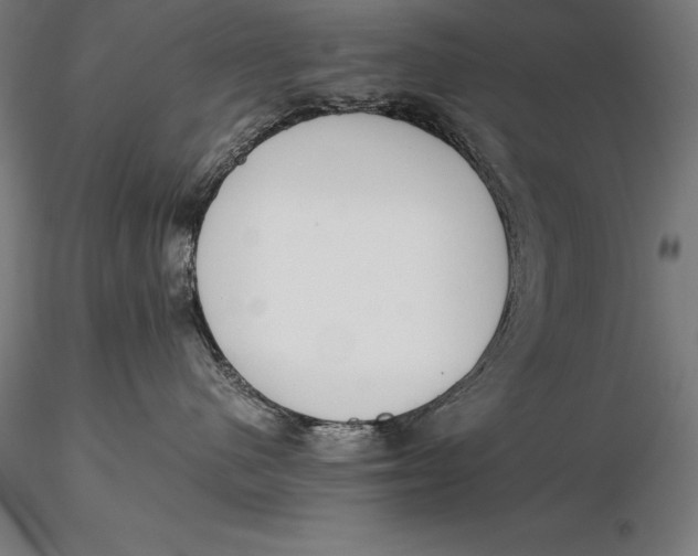 X0000115720480200912031555