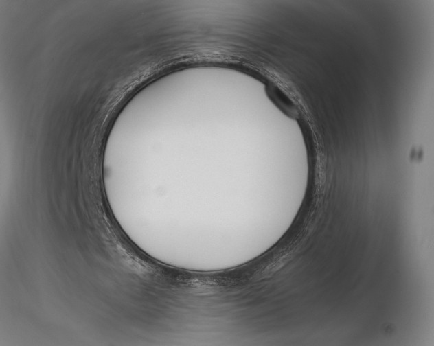 X0000115720481200912031554