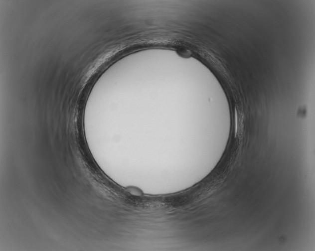 X0000115720483200912031554
