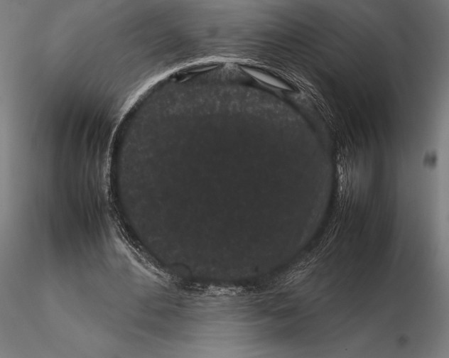 X0000115720484200912031554