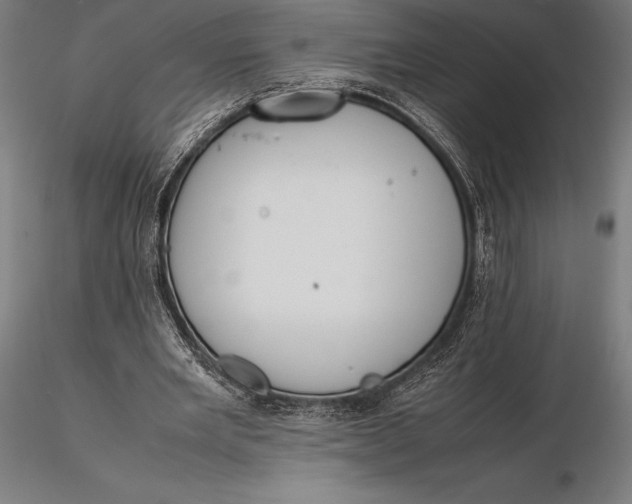 X0000115720485200912031554