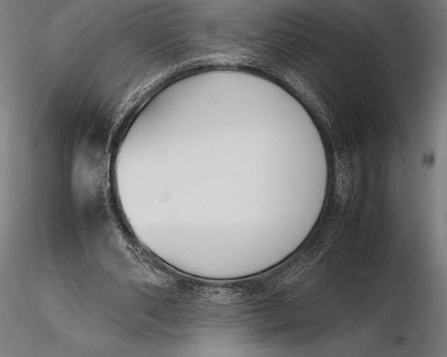 X0000115720486200912031554