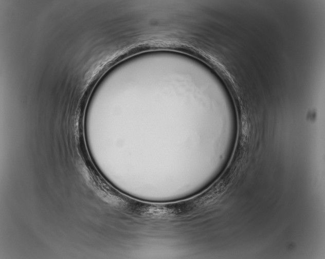 X0000115720487200912031554