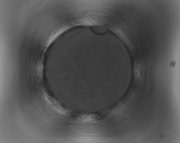 X0000115720488200912031554