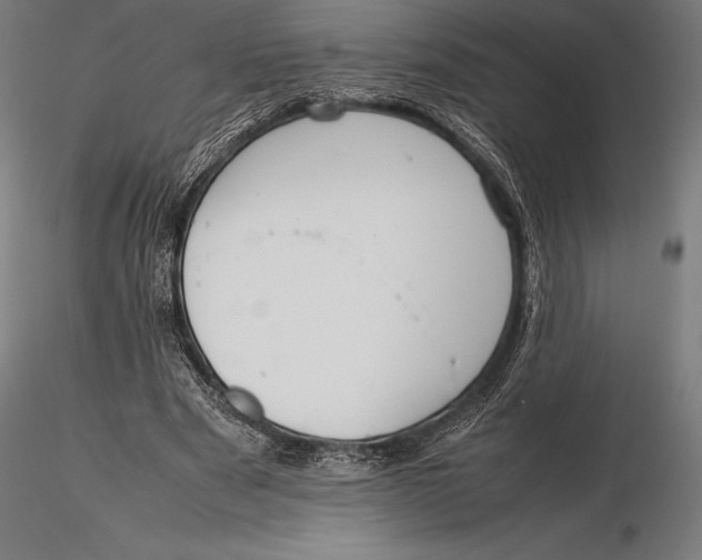 X0000115720489200912031554