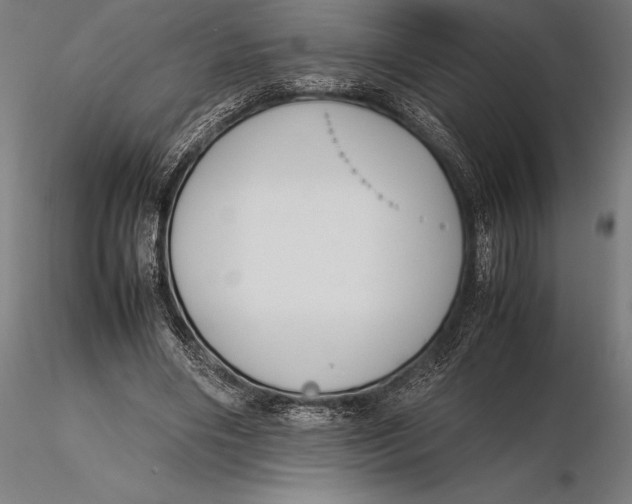 X0000115720490200912031554