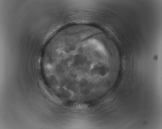 X0000115720491200912031554