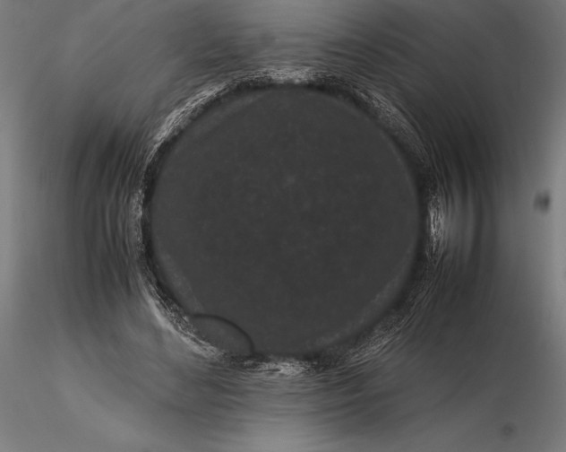X0000115720492200912031554