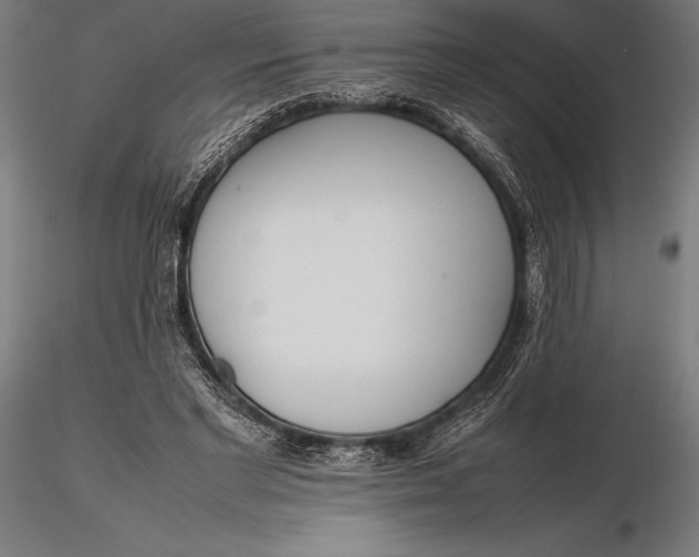X0000115720493200912031554
