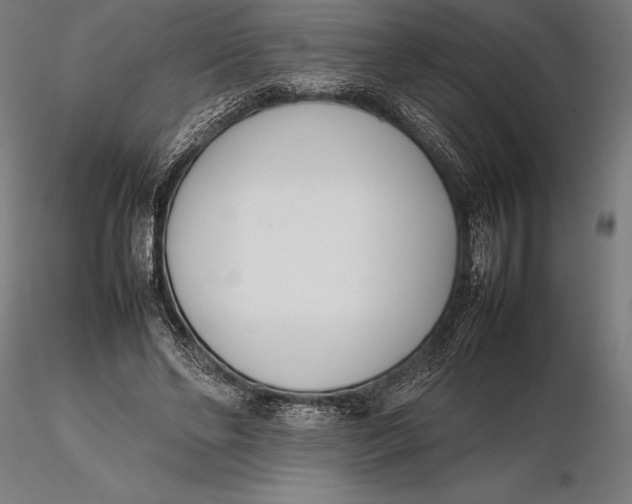 X0000115720494200912031554