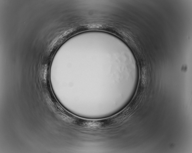 X0000115720495200912031554