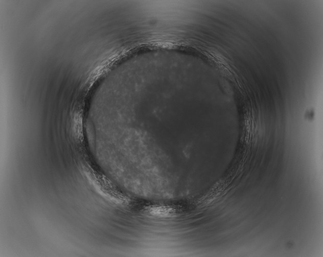 X0000115720500200912031554