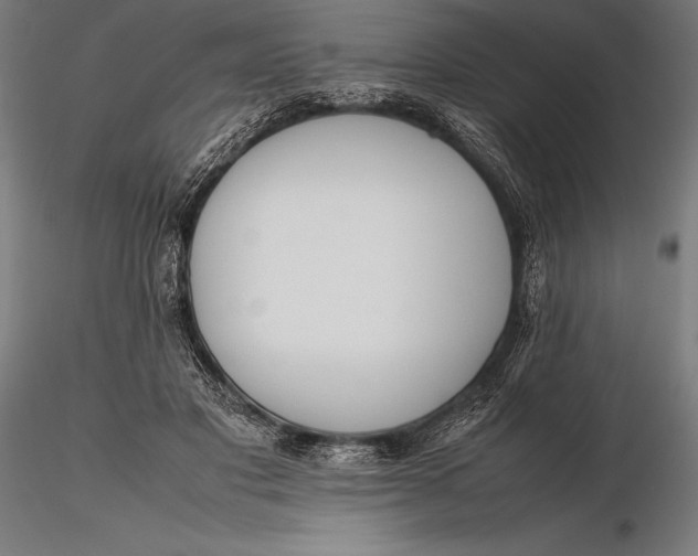 X0000115720501200912031554
