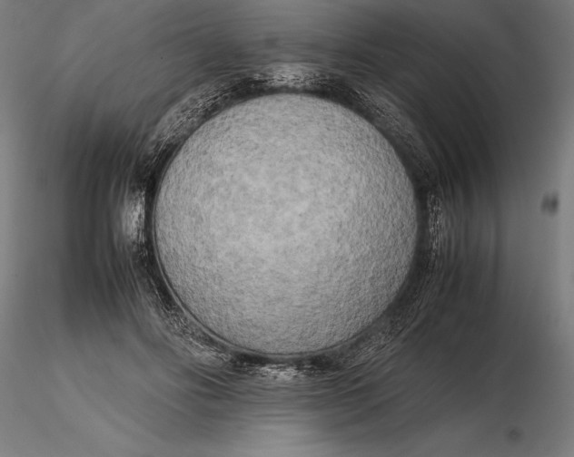 X0000115720502200912031554