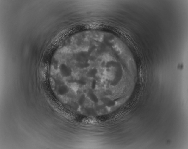 X0000115720503200912031554