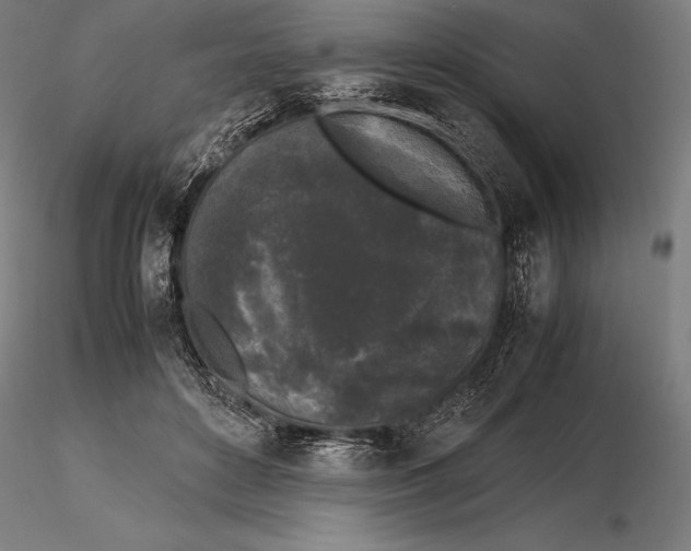 X0000115720504200912031554