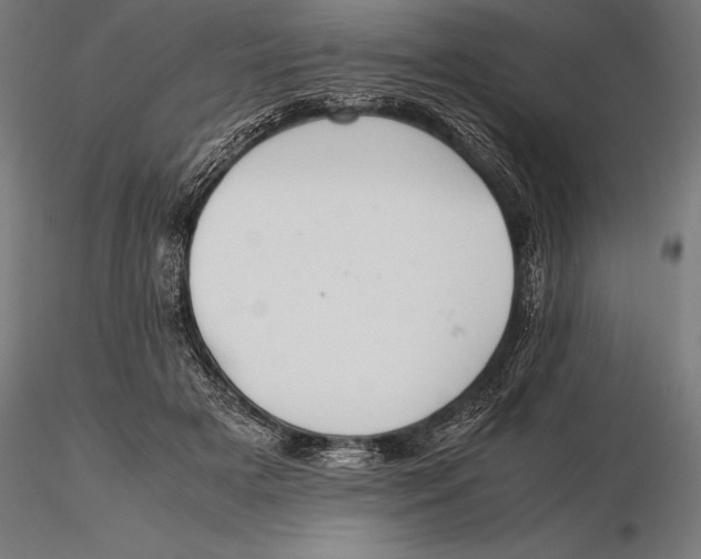 X0000115720505200912031554