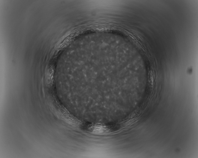 X0000115720507200912031554